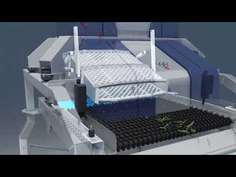 Delta Oscillys XM 3D