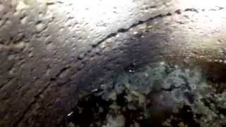 Sending the iphone down the well shaft for a look before I go down there.