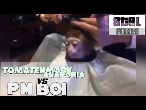 [MRB3] Anaporia & Tomatenmark vs Purp Monkey Boi | 8tel Finale | Prod. by Simes von Fler halt