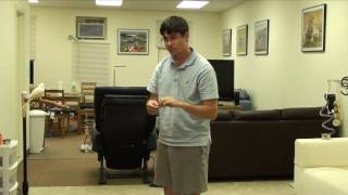 Duke Budgie - Parakeet Tricks and Flight Recalls