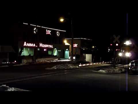 NYS&W SU99 1/5/11 with SICK Horn