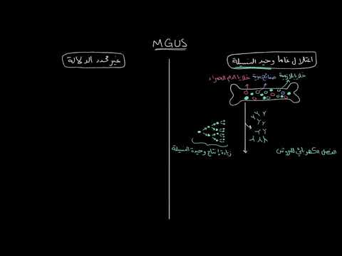 الصفوف المتقدمة الأحياء أمراض الدم اعتلال غاما وحيد النسيلة غير محدد الدلالة MGUS