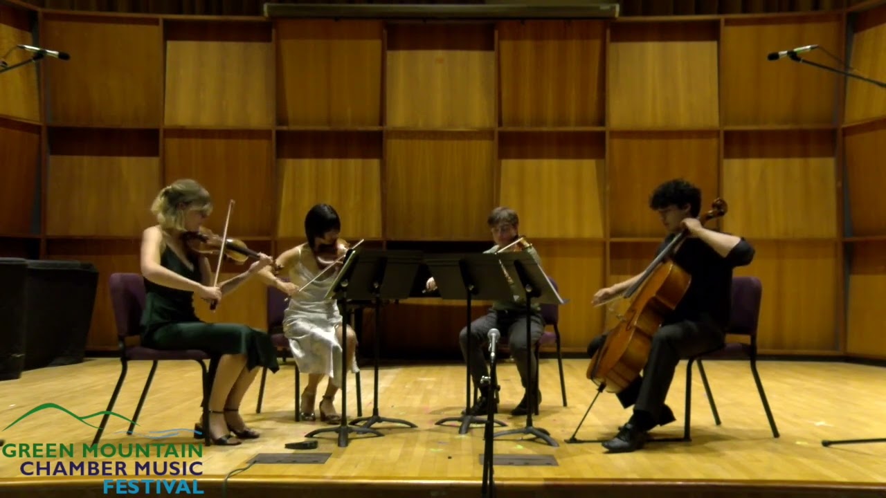 Promotional video thumbnail 2 for Chloe Yofan, violinist