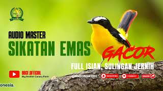 Download lagu MASTERAN BURUNG SIKATAN EMAS GACOR FULL ISIAN & SULINGAN JERNIH#shorts@bbcf.official1993 mp3 Download lagu MASTERAN BURUNG SIKATAN EMAS GACOR FULL ISIAN & SULINGAN JERNIH#shorts@bbcf.official1993 mp3
