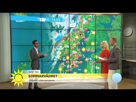 Dagens väderprognos: "Fortsatt värmevarning i hela landet" - Nyhetsmorgon (TV4)