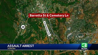 Sonora man taken into custody after stomping on woman's head during altercation, police say