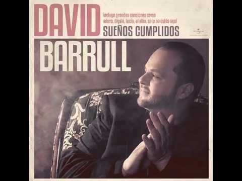 David Barrul ( estoy echo de pedacitos de ti )