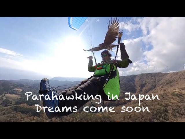 パラホーキング イン ジャパン