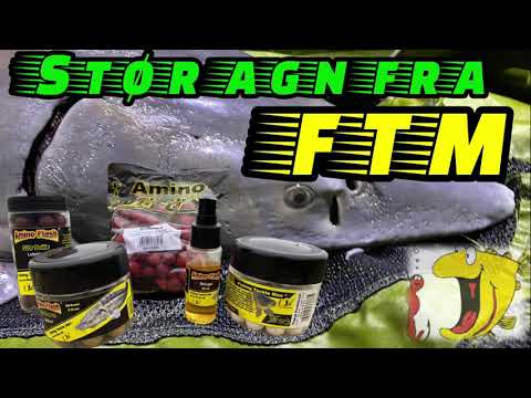 Agn til de store Stør