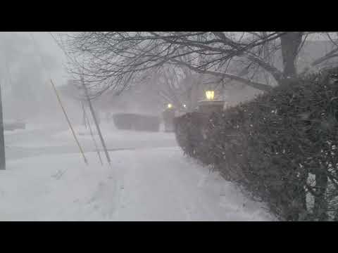 Snow everywhere! 1.21.26 