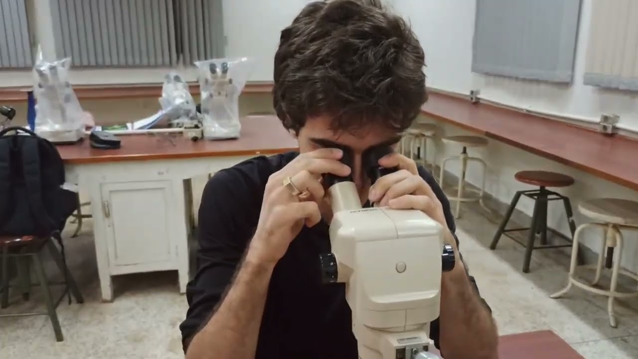 Ácidos e Bases - BIO_ESALQ-USP 2024