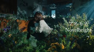 Novelbright – アネモネ [Official Music Video]
