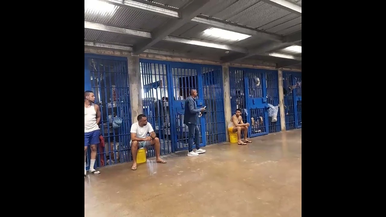 29 de agosto de 2023(2)