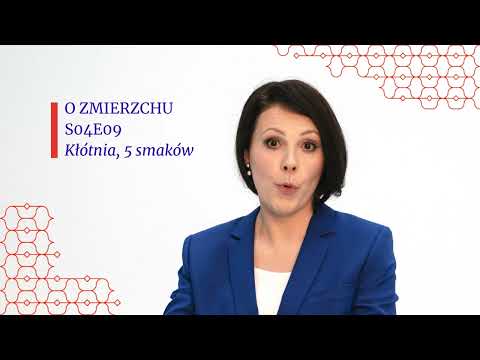 S04E09 - Kłótnia, 5 smaków - O Zmierzchu