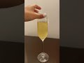 ASMR ️Moet And Chandon In A Glass