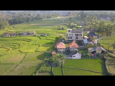 Most incredible Villa in Ubud - Raditya Villa Ubud