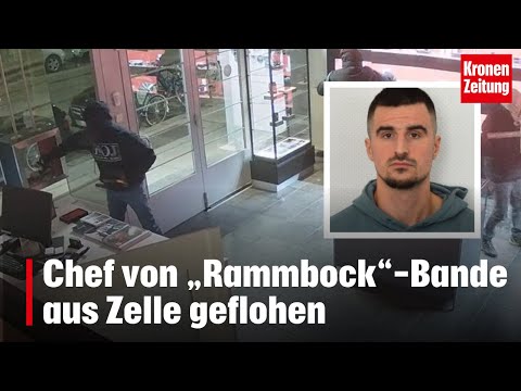 Chef von „Rammbock“-Bande aus Zelle geflohen | krone.tv NEWS