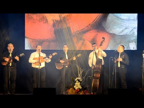 TS.BEGEŠ- Povratak - Live @ Festival "Šokačke pisme" Županja 2019