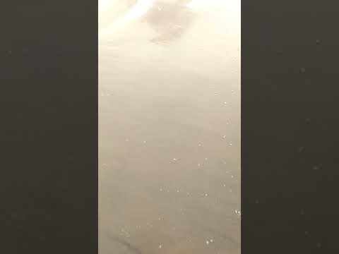 Talseri Sea beach 🏖️🏖️ Picnic tour by Rajesh Sir❤️ || Jayshree❤️❤️❤️