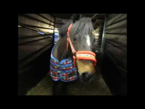 Jag saknar dig så att det gör ont  Cherry