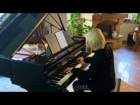 What Could Have Been - Sting ft. Ray Chen (Arcane) // Piano Cover