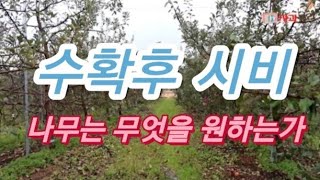사과 수확후 무엇을 얼마나 시비할 것인가
