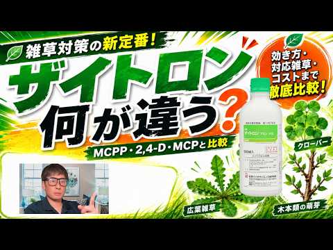 What Makes Zaitron Different? A Thorough Comparison with MCPP, 2,4-D, and MCP Sodium Salt