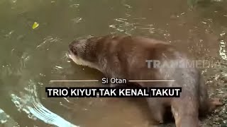 Download lagu [FULL] Trio Kiyut Tak Kenal Takut | SI OTAN (08/06/20) mp3