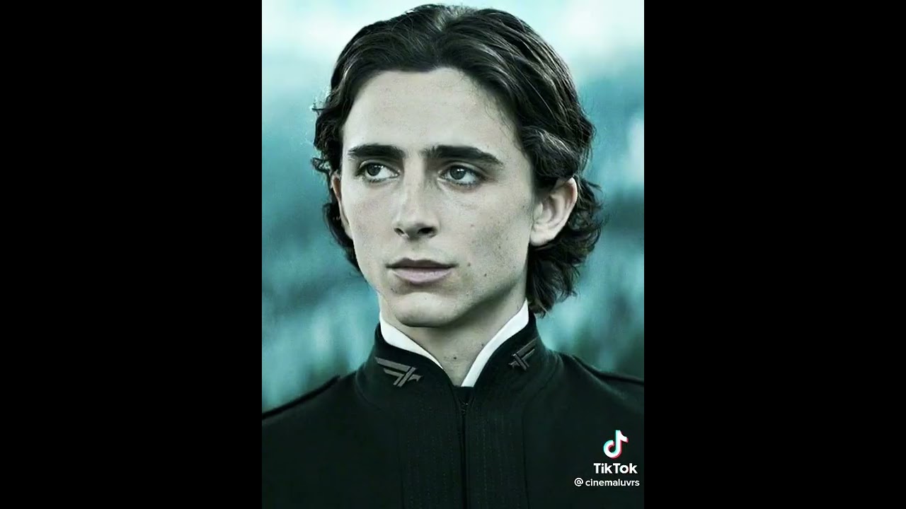 THEMOTHE AS REGULUS IS THE BEST FAN CAST AND I NEED A MARAUDER SHOW RN #shorts #harrypotter