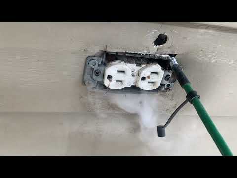 Yellow Jackets Found in Electrical Outlet in Waretown, NJ