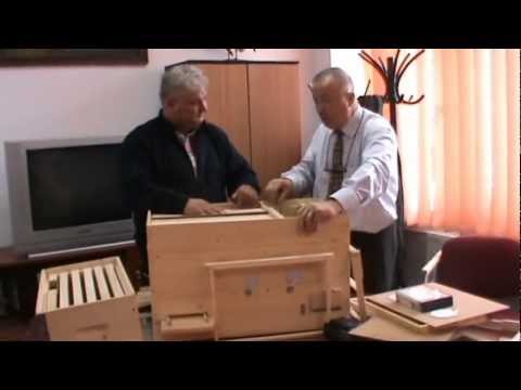 Apicultorul Dan Puisoru discuta cu Proful Online despre "Bio Stup - Ioan Ursu" - apicultura