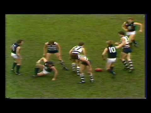 1983 Round 17 Carlton Highlights - Carlton vs Geelong
