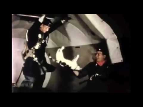 Space Cats, Weightless Kitties