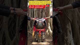 Download lagu baju perang prajurit majapahit#shortvideo#mistis mp3
