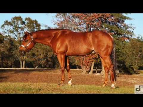 Fine Electric Machine