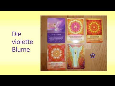 Wochenorakel 6. Juni bis 12. Juni 2016