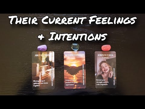💛💕 Their Current Feelings & Intentions Towards You 🔮 Pick A Card Love Reading 
