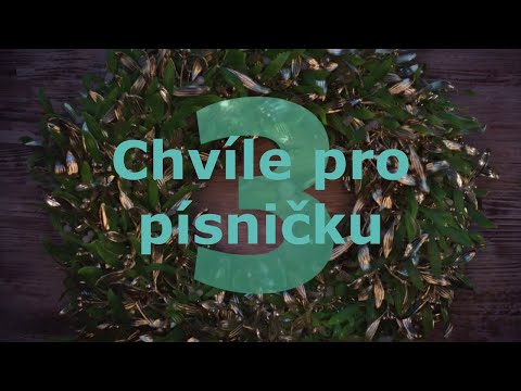 Chvíle pro písničku ◎ z roku 1984 (H. Vondráčková, H. Ulrychová, P. Ulrych a K. Zich]