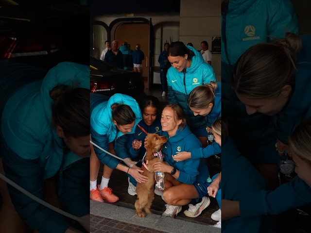 All in favour of every day being #InternationalDogDay? 🐾🐶#Matildas