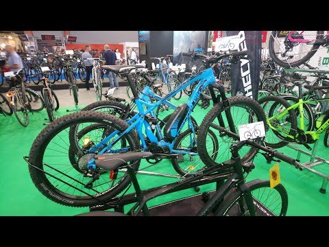 Checker Pig Wild Pig 2019