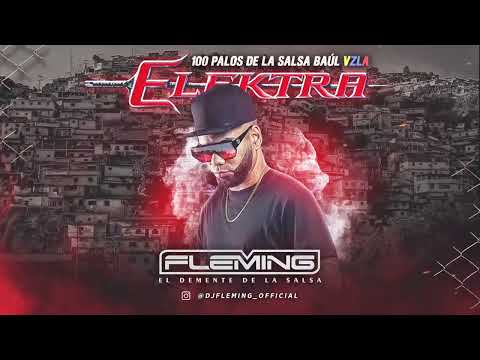 ELEKTRA DISCPLAY - 100 PALOS DE LA SALSA BAUL PARA VENEZOLANOS (DJ FLEMING)