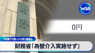 財務省 12月末～1月に「為替介入実施せず」 円急騰で円買いドル売り観測も【WBS】