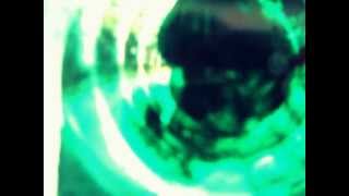 Syd Barrett- If It&#39;s In You