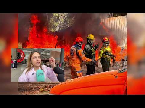Ocho municipios del Tolima reportaron incendios forestales en el puente de la Virgen de Chiquinquirá