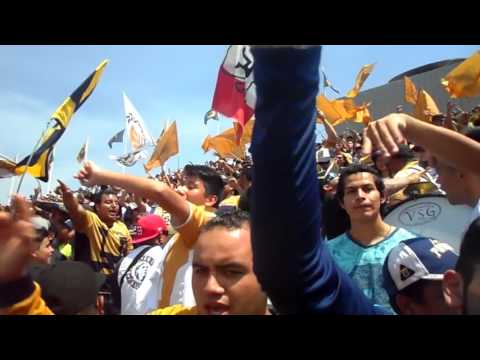 "LA REBEL MARIA PUMAS VS CHIVAS 4 OTUBRE 2015" Barra: La Rebel • Club: Pumas