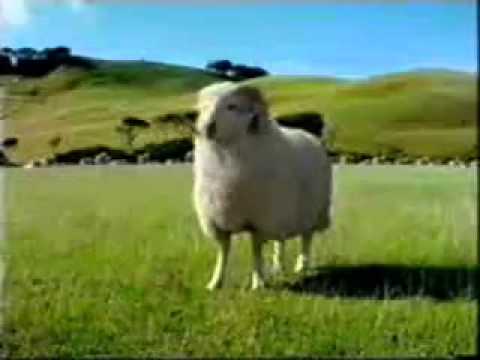 Thumbnail for Toyota Hilux Commercial.flv by Toyota FLV