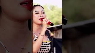 Download lagu HADUH KANG KULA MELU - POPY SAMANTHA - PKL KING PRO #nirwanamandalasakti #tarling #pantura mp3 Download lagu HADUH KANG KULA MELU - POPY SAMANTHA - PKL KING PRO #nirwanamandalasakti #tarling #pantura mp3