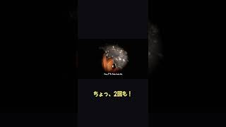 幽霊が同じ場所に何度も出てきて、ついに苦情ｗ【ホラフキン】 #Shorts