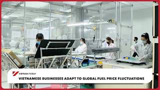 Vietnamese businesses adapt to global fuel price fluctuations | Vietnam Today