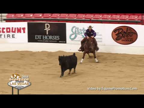 SJR Diamond Rey shown by Corey Cushing - 2016 Stallion Stakes (Cow Prelim)